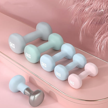 Ensemble d'haltères en fonte - Poids de musculation haute densité